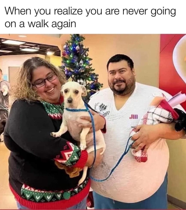 Dog_walk